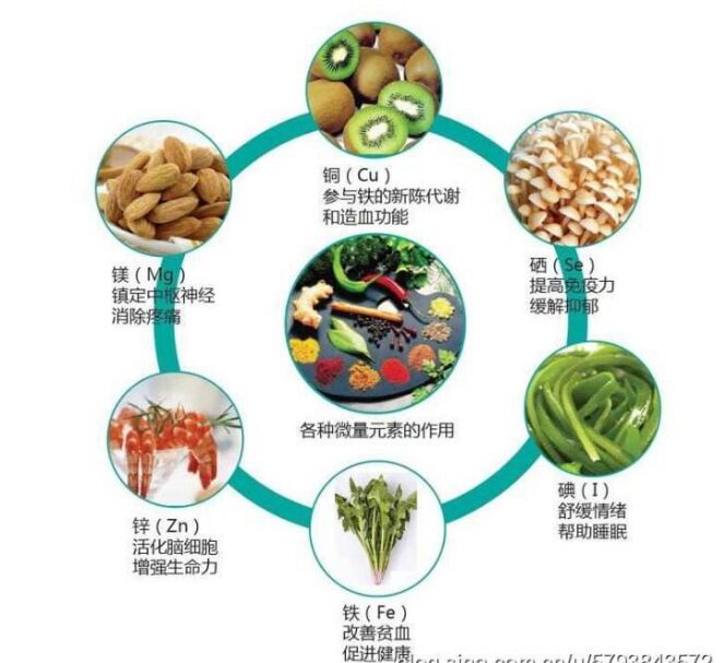 全自動草莓视频在线下载APP分析頭發檢測的結果