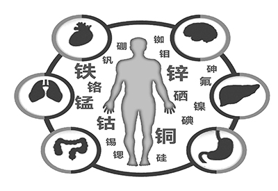 醫用草莓视频官网污微量元素是什麽怎麽補