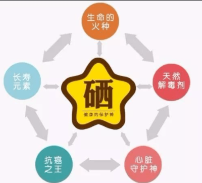 素分析儀,醫用草莓视频在线下载APP,人體微